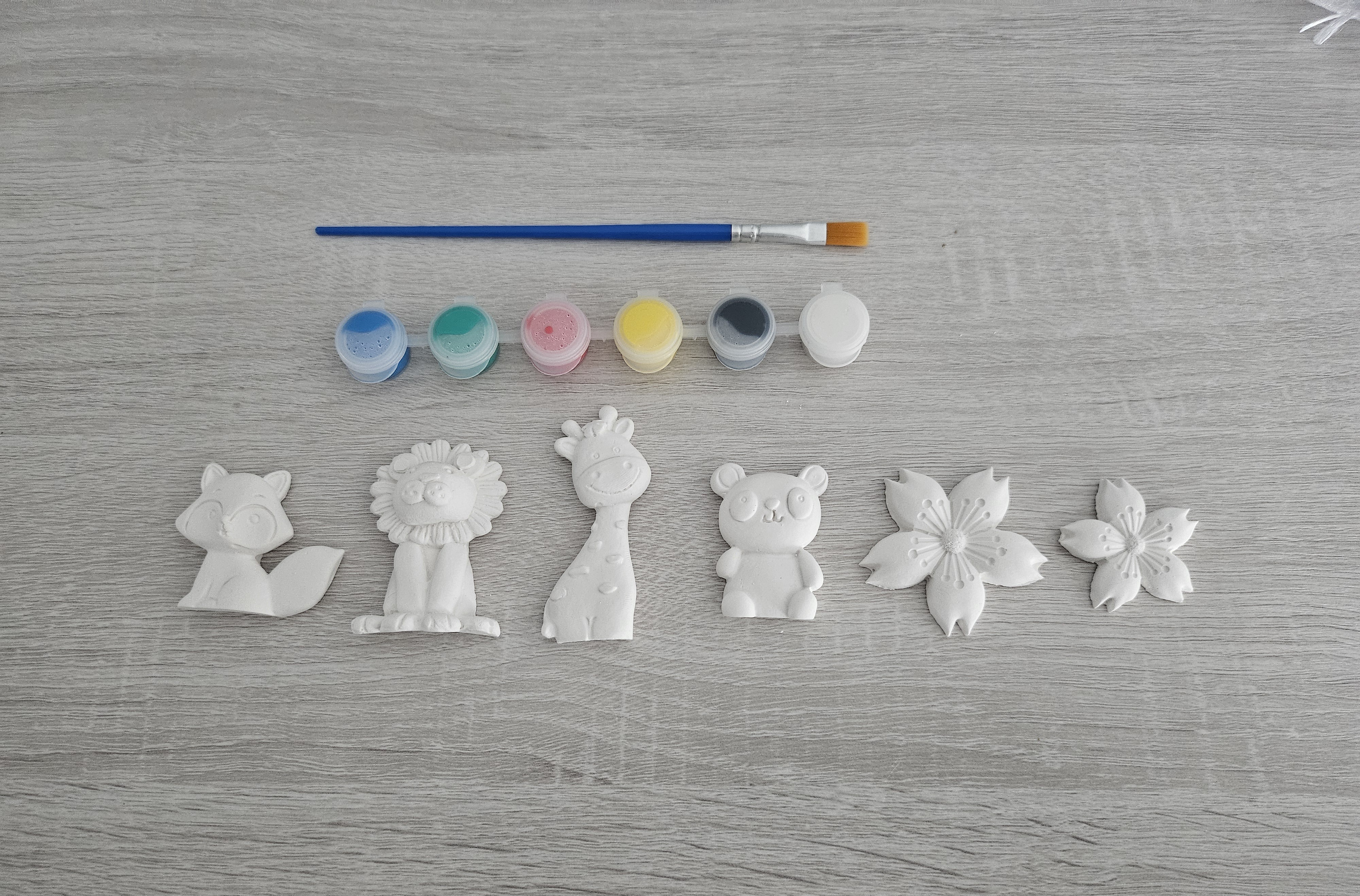 Kit créatif de 5 aimants à peindre - vue produit