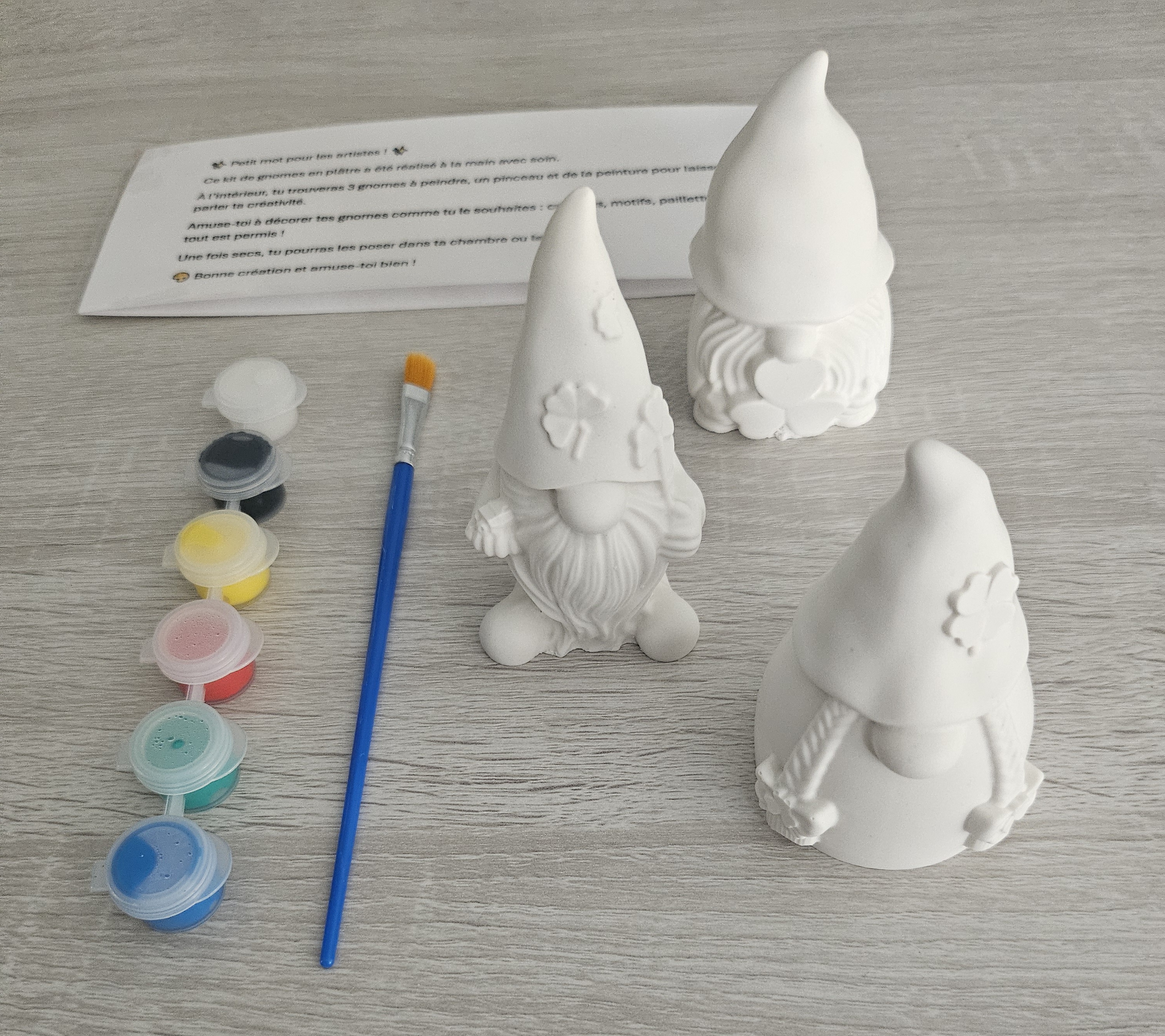 Kit créatif de 3 Gnomes à peindre  - vue produit