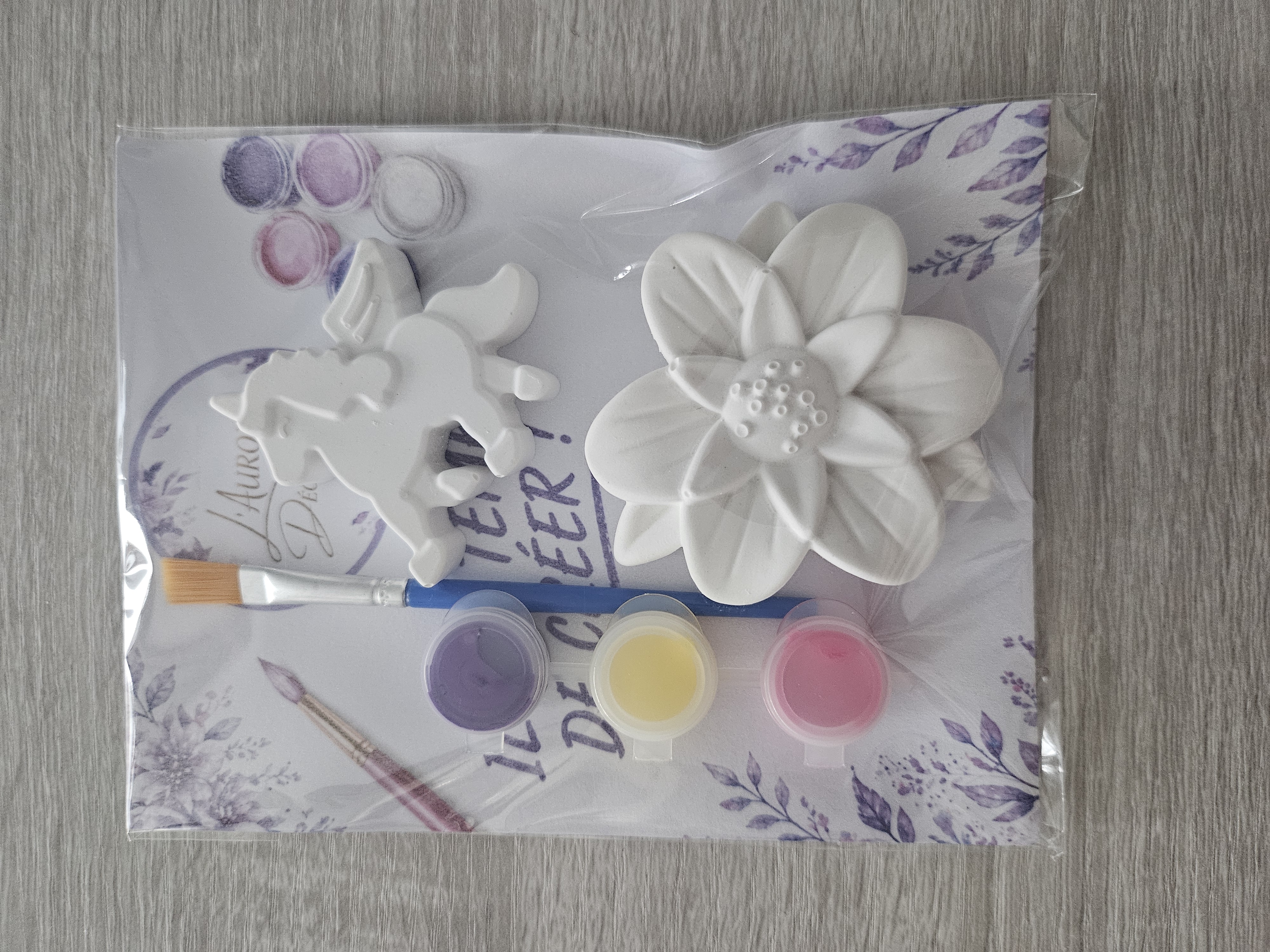 Kit créatif petit format à peindre en raysin - vue produit