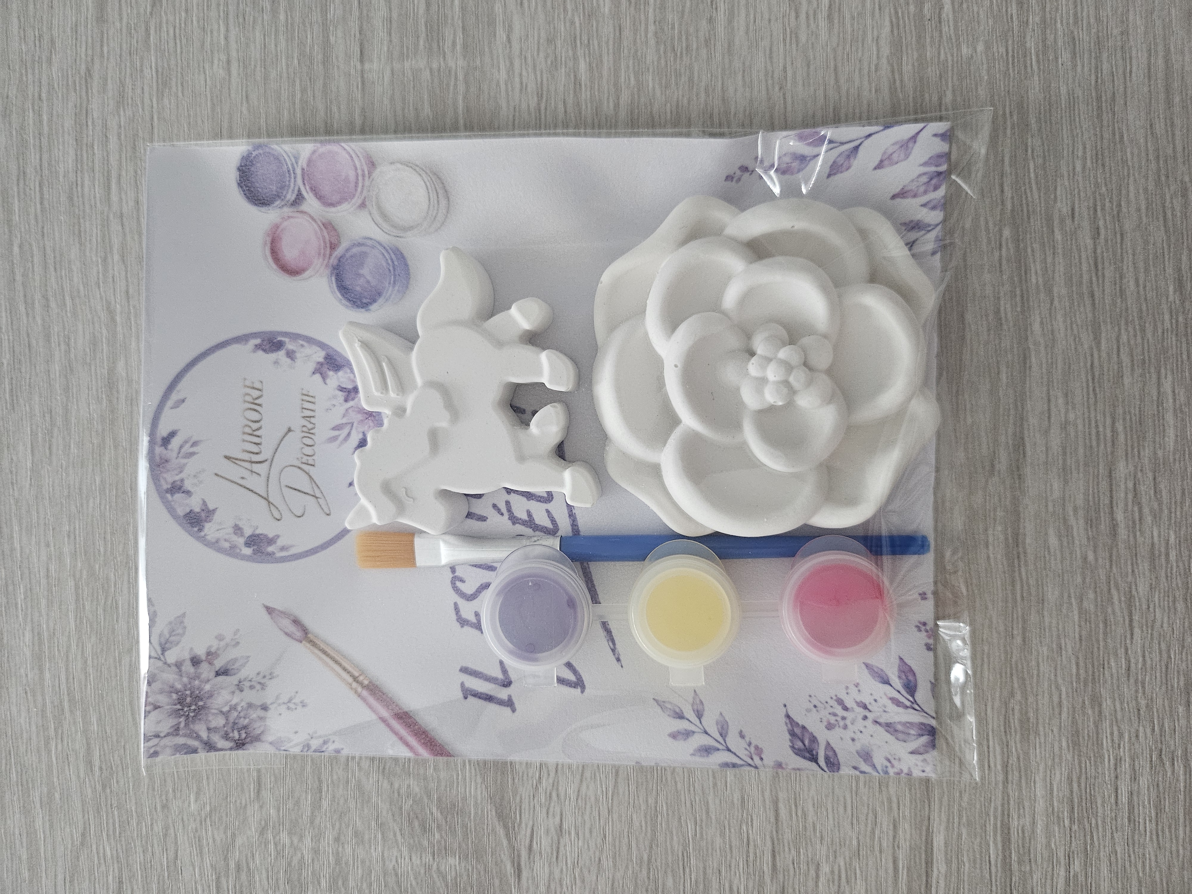 Kit créatif petit format à peindre en raysin - vue produit