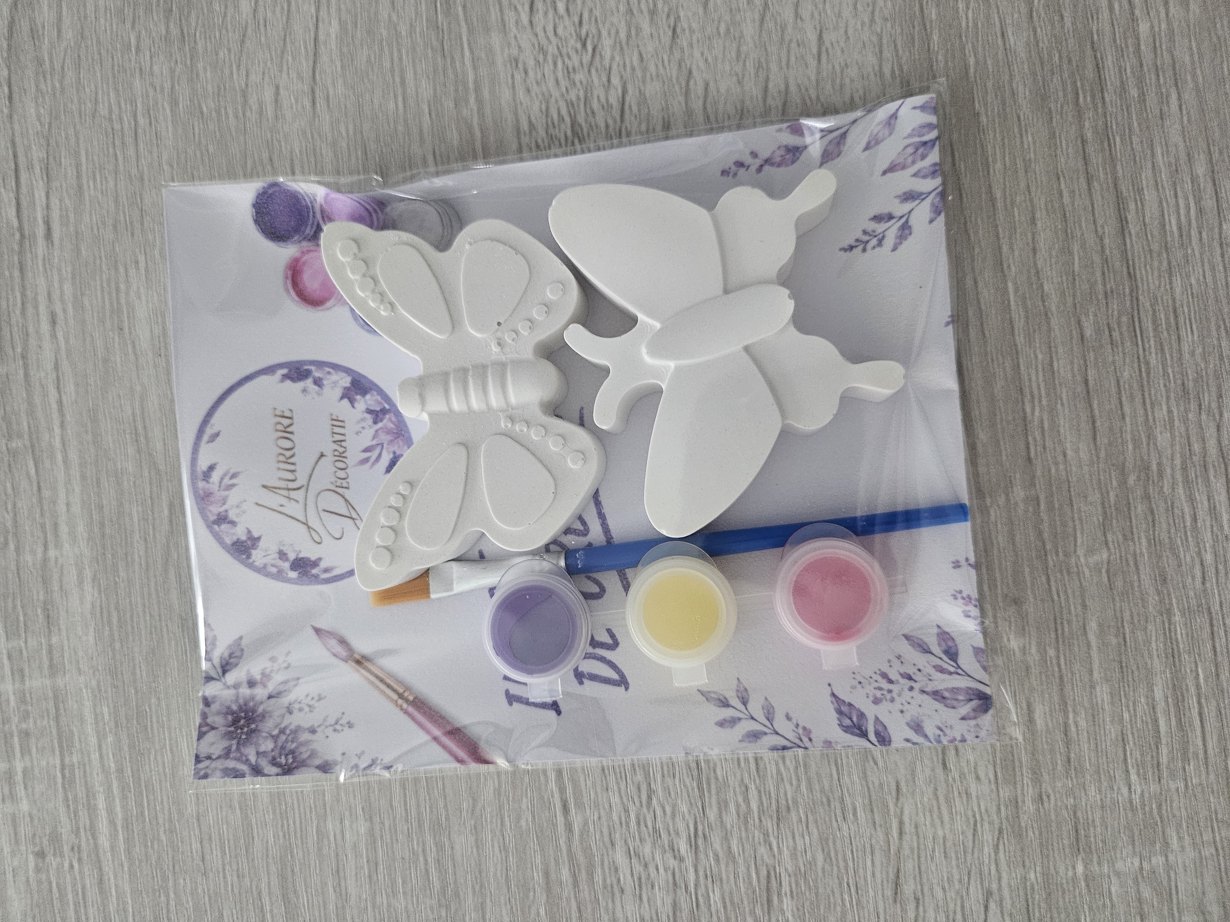 Kit créatif petit format à peindre en raysin - vue produit