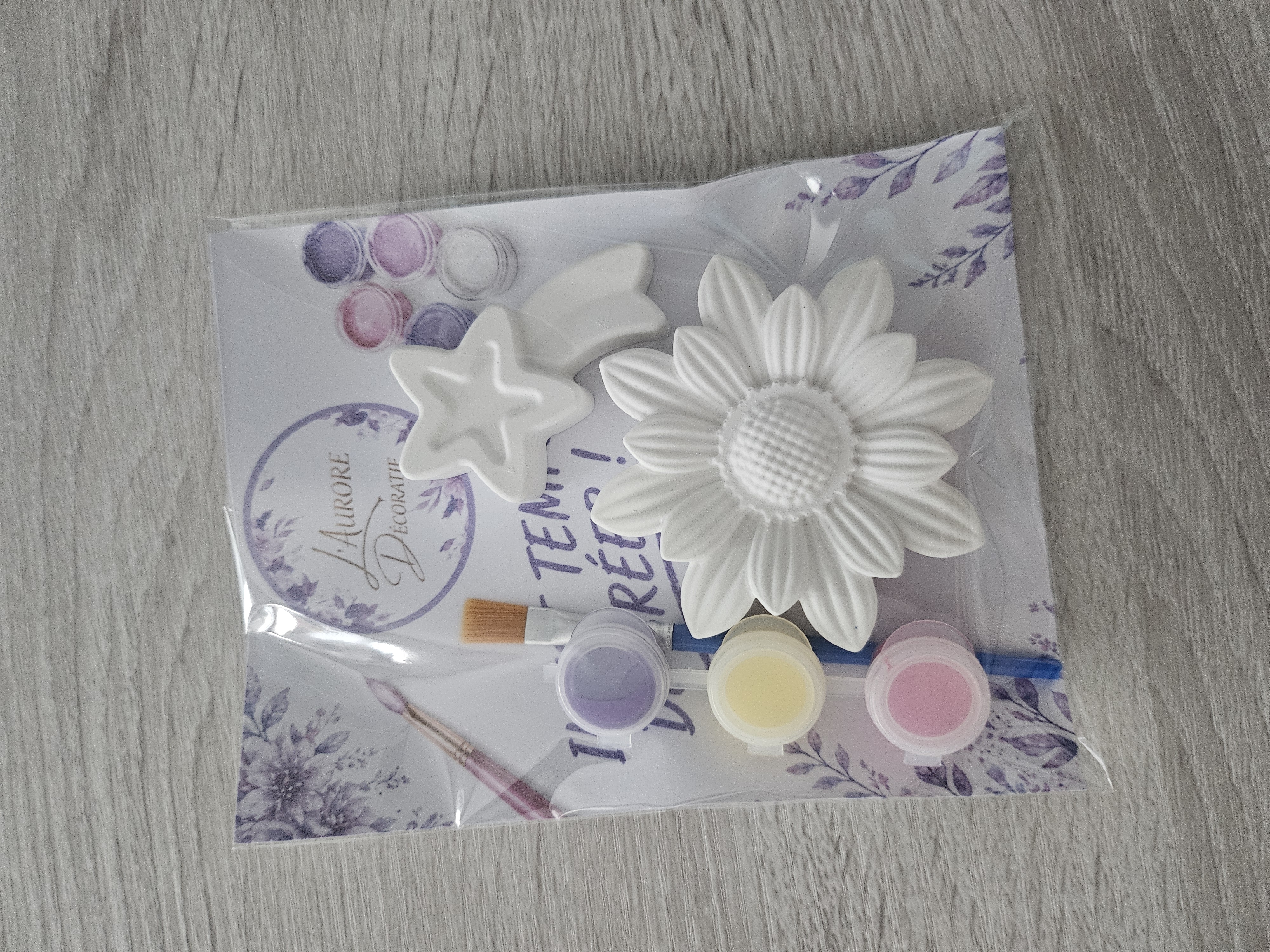 Kit créatif petit format à peindre en raysin - vue produit