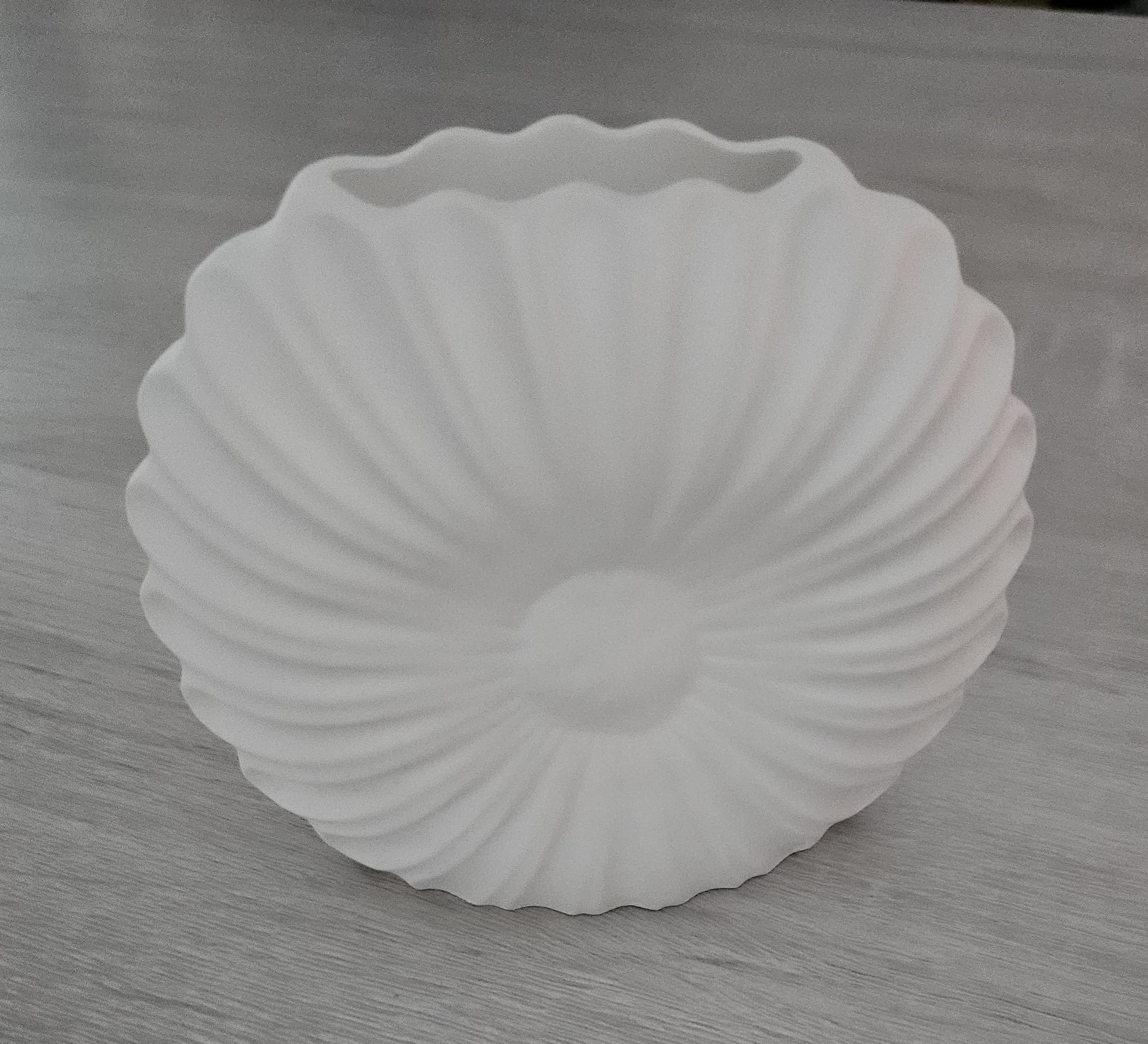 Vase Coquillage en Raysin-plâtre  - vue produit