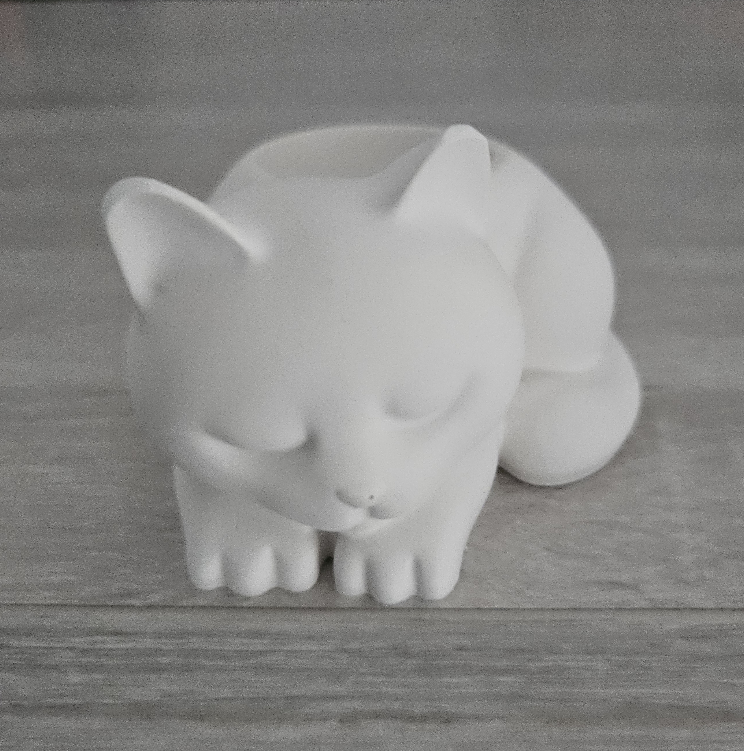 Photophore Chat en Raysin plâtre  - vue produit